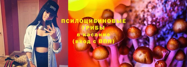 индика Арсеньев