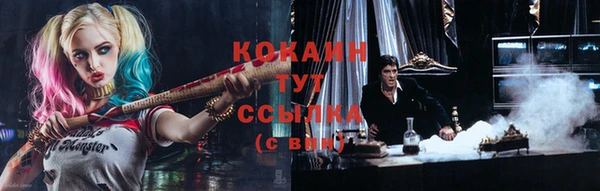 индика Арсеньев