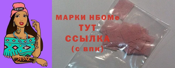 индика Арсеньев