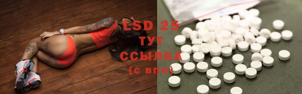 гидра Армянск