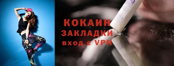 индика Арсеньев