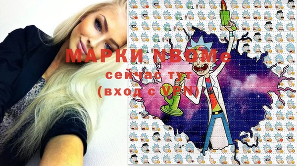 индика Арсеньев