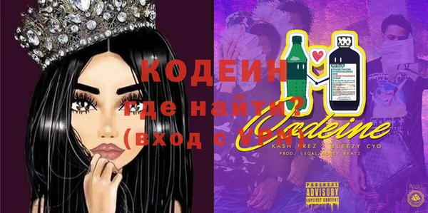 индика Арсеньев