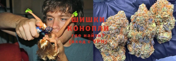 индика Арсеньев