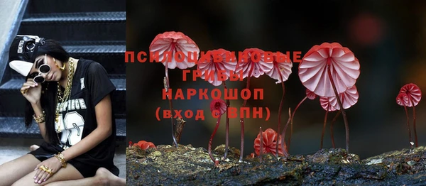 индика Арсеньев