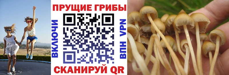 Галлюциногенные грибы MAGIC MUSHROOMS  Нягань 